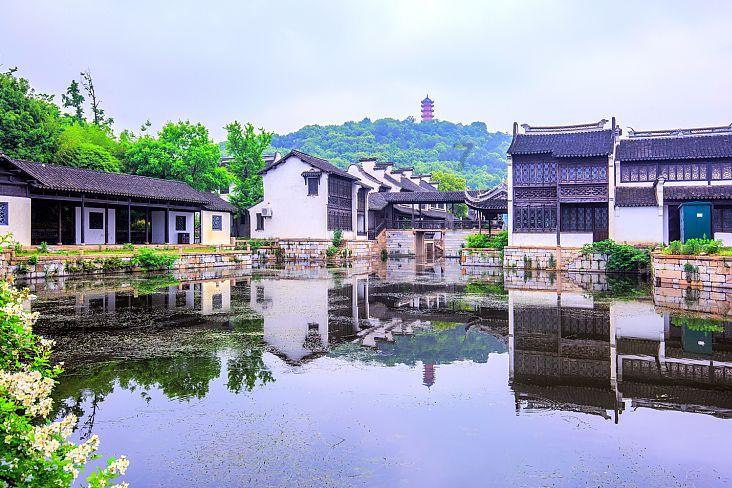 见缝插刀2
